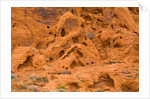 Eroded Sandstone Cliff With Holes by Corbis