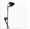 Two Golf Clubs by Anonymous