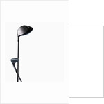 Two Golf Clubs by Anonymous