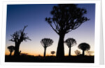 Silhouettes of Trees at Dusk by Anonymous
