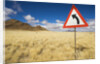 Traffic Sign on Overgrown Road by Anonymous