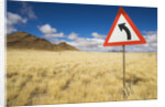 Traffic Sign on Overgrown Road by Anonymous