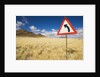 Traffic Sign on Overgrown Road by Anonymous