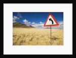 Traffic Sign on Overgrown Road by Anonymous