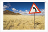 Traffic Sign on Overgrown Road by Anonymous