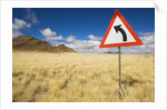 Traffic Sign on Overgrown Road by Anonymous