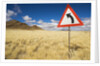 Traffic Sign on Overgrown Road by Anonymous