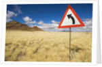 Traffic Sign on Overgrown Road by Anonymous