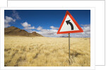 Traffic Sign on Overgrown Road by Anonymous