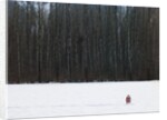 Football in Snow Covered Field by Anonymous