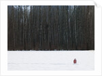 Football in Snow Covered Field by Anonymous