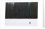 Football in Snow Covered Field by Anonymous
