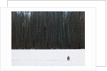 Football in Snow Covered Field by Anonymous