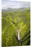 Aerial View of Waterfall in Waimea Canyon by Anonymous