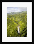 Aerial View of Waterfall in Waimea Canyon by Anonymous