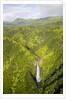 Aerial View of Waterfall in Waimea Canyon by Anonymous