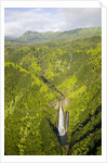 Aerial View of Waterfall in Waimea Canyon by Anonymous