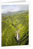 Aerial View of Waterfall in Waimea Canyon by Anonymous