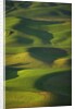 Green Hills by Anonymous
