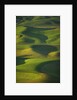 Green Hills by Anonymous