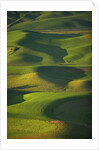 Green Hills by Anonymous