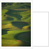 Green Hills by Anonymous
