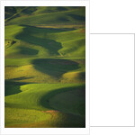 Green Hills by Anonymous