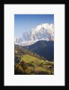 Village in Mountain Valley by Anonymous