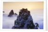 Mountain Peaks Above Clouds by Anonymous
