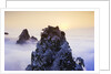Mountain Peaks Above Clouds by Anonymous