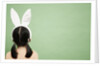 Girl Wearing Rabbit Ears by Anonymous