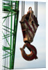 Hook on Construction Crane by Anonymous