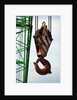 Hook on Construction Crane by Anonymous