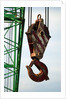 Hook on Construction Crane by Anonymous