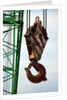 Hook on Construction Crane by Anonymous