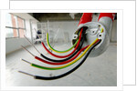Electrical Wiring in Refurbished Warehouse by Anonymous
