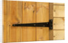 Door Hinge on Shed by Anonymous
