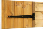 Door Hinge on Shed by Anonymous