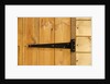 Door Hinge on Shed by Anonymous