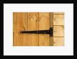 Door Hinge on Shed by Anonymous