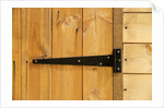 Door Hinge on Shed by Anonymous