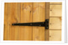 Door Hinge on Shed by Anonymous