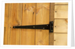 Door Hinge on Shed by Anonymous