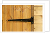 Door Hinge on Shed by Anonymous