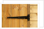 Door Hinge on Shed by Anonymous