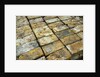 Salvaged Bricks by Anonymous