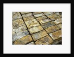 Salvaged Bricks by Anonymous