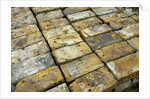 Salvaged Bricks by Anonymous