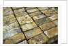 Salvaged Bricks by Anonymous