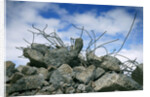 Construction Rubble by Anonymous